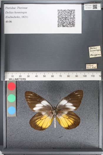 Media type: image;   Entomology 130327